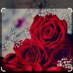 Humaira Memon - Facebook