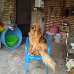 Humberto Arreguin - @arreguin508 - Instagram