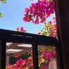 Humberto Toscano - @humberto.toscano3 - TikTok