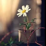حمیرا ہاشمی - @humera._.hashmi - Instagram