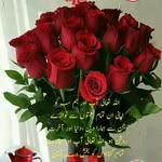 Humera Hashmi - @humera8528 - Instagram
