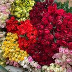 Hưng Hoa Hồng - Facebook