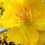 Hung Khuu - @h_khuu - Instagram