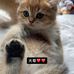 Luk Hung - Facebook
