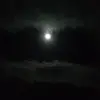 Hung Mang - @hungmang549 - TikTok