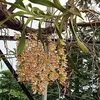 Hung Hmok - @hung.hmok - TikTok