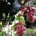 Hung Nhan - Facebook