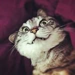 Hung  Poon - @hung31hung - Instagram