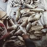 Hùng Poòng - @poonghung - Instagram