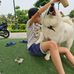 Hung Song - Facebook