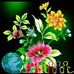 Hưng SOng - Facebook