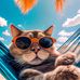 Hùng Song - Facebook