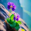 Hung Thung - @hung.thung - TikTok