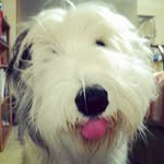 Merlin Ambrosius of Labyrinth - @hungtonguemerlin - Instagram