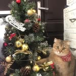 Hung Trang - @maihung682 - Instagram