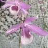 Hung Vong991 - @hungvong991 - TikTok