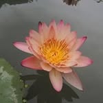 Yamin Hung - @hungyamin - Instagram