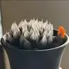 Hung Yeh - @hung.yeh - TikTok