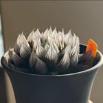 Hung Yeh - @ming5936 - Instagram