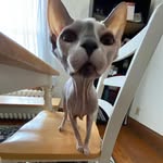 @hunt.gersin - Instagram