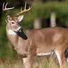 Huntingers - @huntingers - TikTok