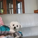 Hunter Abel - Facebook