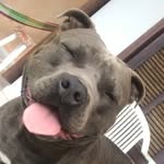 Hunter Alberto - @hunteralberto_ - Instagram