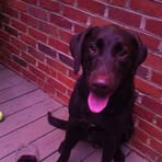 Hunter Armistead - Facebook