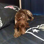 Hunterauld - @hunterauld2005 - Instagram