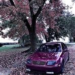 Hunter Bauer - Facebook