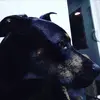 Hunter Beach - @hunter.beach4 - TikTok