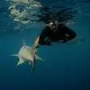 Hunter Beach - @hbeach579 - TikTok