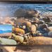 Hunter Beach - Facebook