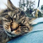Hunter Beach - @hunter_beach0725 - Instagram