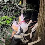 Hunter Beam - @hunter_beam_45 - Instagram