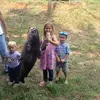 HunterBeams543 - @hunterbeams543 - TikTok