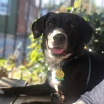 Hunter Bean - @hunterbeanofficial - Instagram