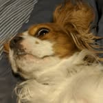 Hunter.Bean - @hunter.bean420 - Instagram