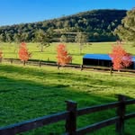 Erica & Brett - @beauchamp_huntervalley - Instagram