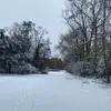 Hunter Beauchamp - @hunter.b95 - TikTok