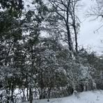 Hunter Beauchamp - Facebook