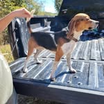 hunter Blankenship - @hunterblankenship410 - Instagram