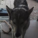 Hunter blankenship - @blankenshiphunter1 - Instagram