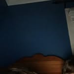 Trevor Hunter Blanton - @trevoroninsta - Instagram