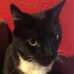 Hunter Bledsoe - @bledsoe5400 - Instagram