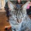 Hunter Boswell - @hunter.boswell4 - TikTok