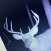 Ishootahoyt - @hunterboykin1 - TikTok