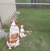 Brady Hunter - Facebook