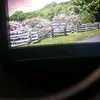 brantleyhunter12 - @brantleyhunter12 - TikTok