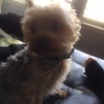 Hunter Brickey - @kewlestdogintown - Instagram